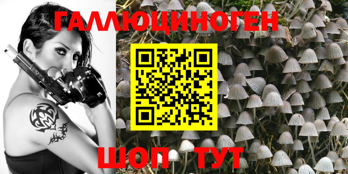 Новоалтайск  Галлюциногенные грибы мухоморы  Вход с VPN 